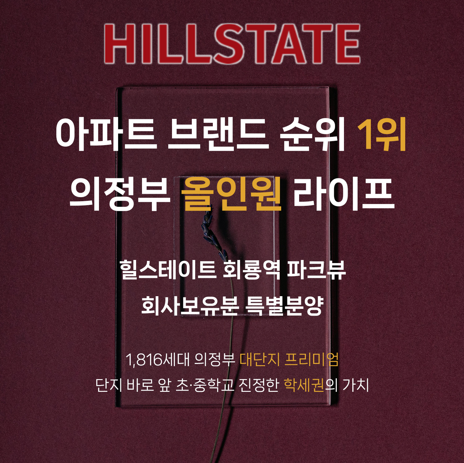 모메-1